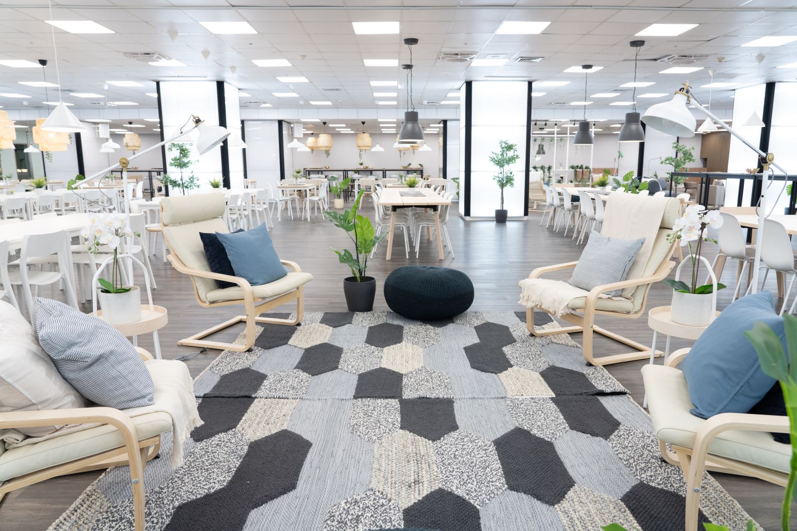 picture one, renovatied staff dining room with chairs and pillows.