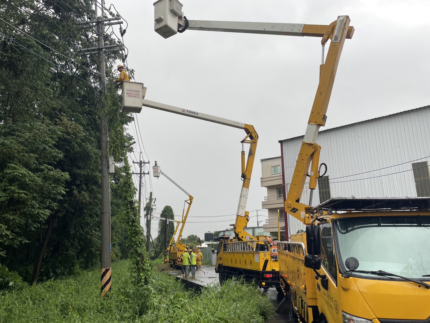 高雄燕巢區四林路因高壓斷線,台電同仁更換礙子以及導線接續工作。