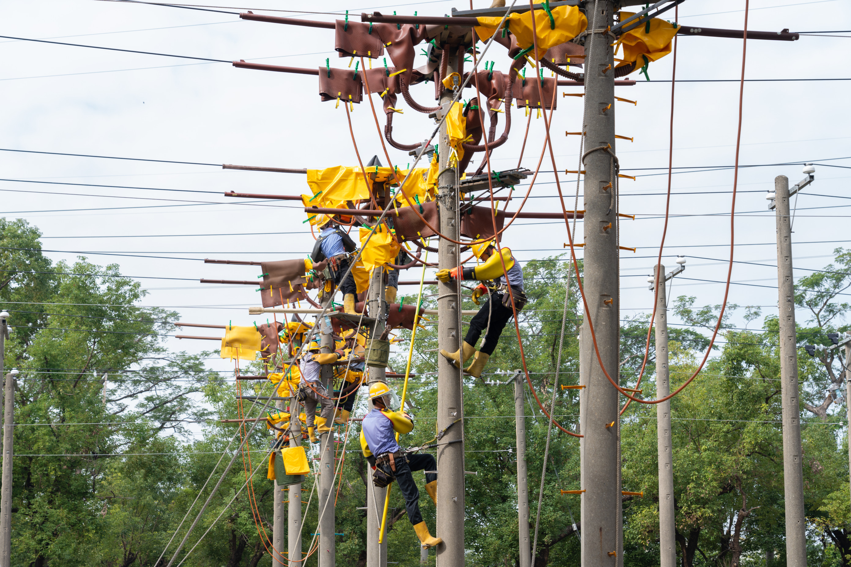 台電近年積極網羅電力領域新血，今年台電大學及研究所獎學金甄選將招考12類科、共70個名額，9月1日開放網路報名。