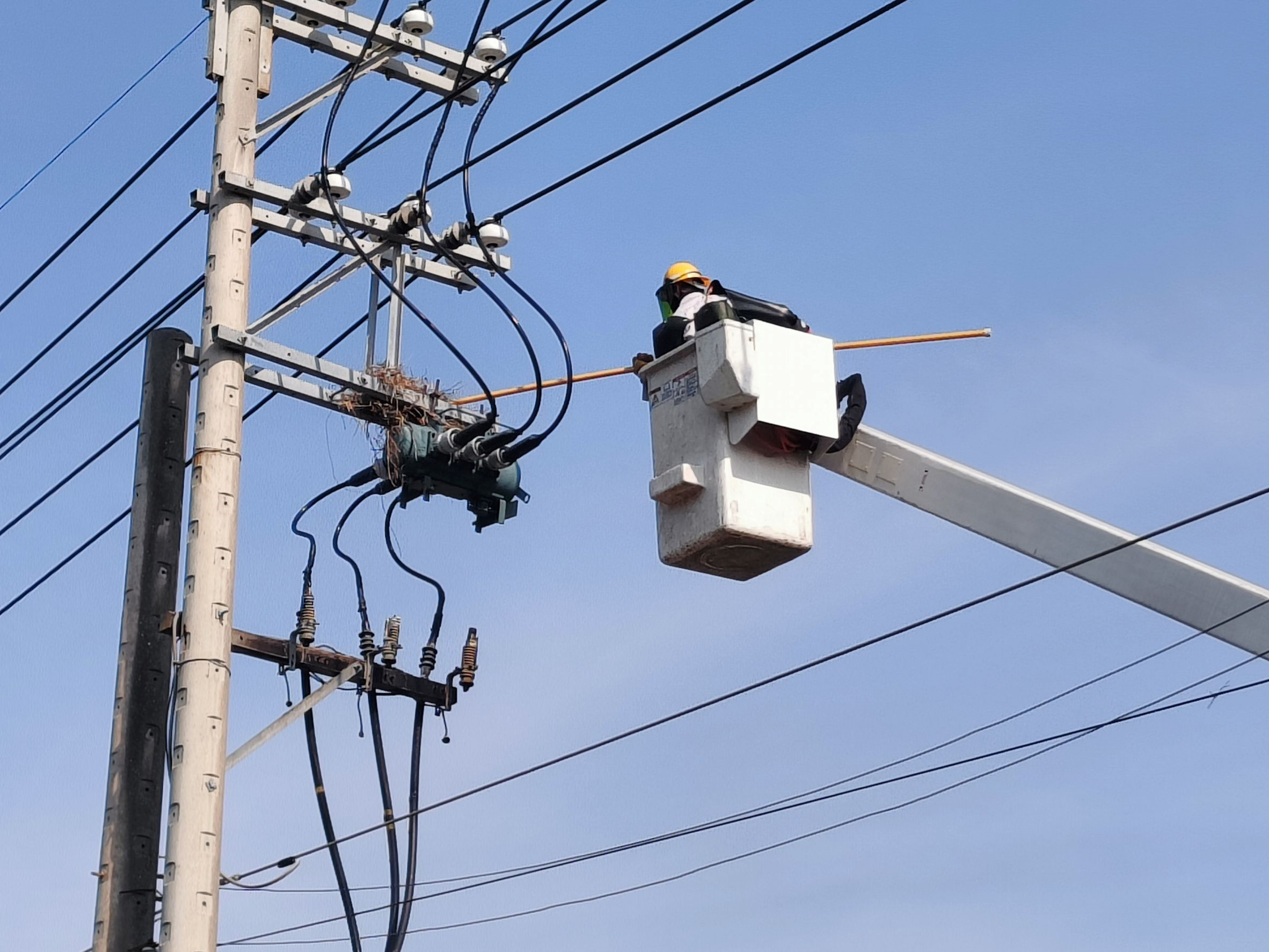 Some birds and animals scuttle back and forth on top of power lines, or use metals such as steel wires as building materials for their nests. When their plumage, tails, or the steel wires in their nests make conduct with the equipment lines, it can cause a power outage.