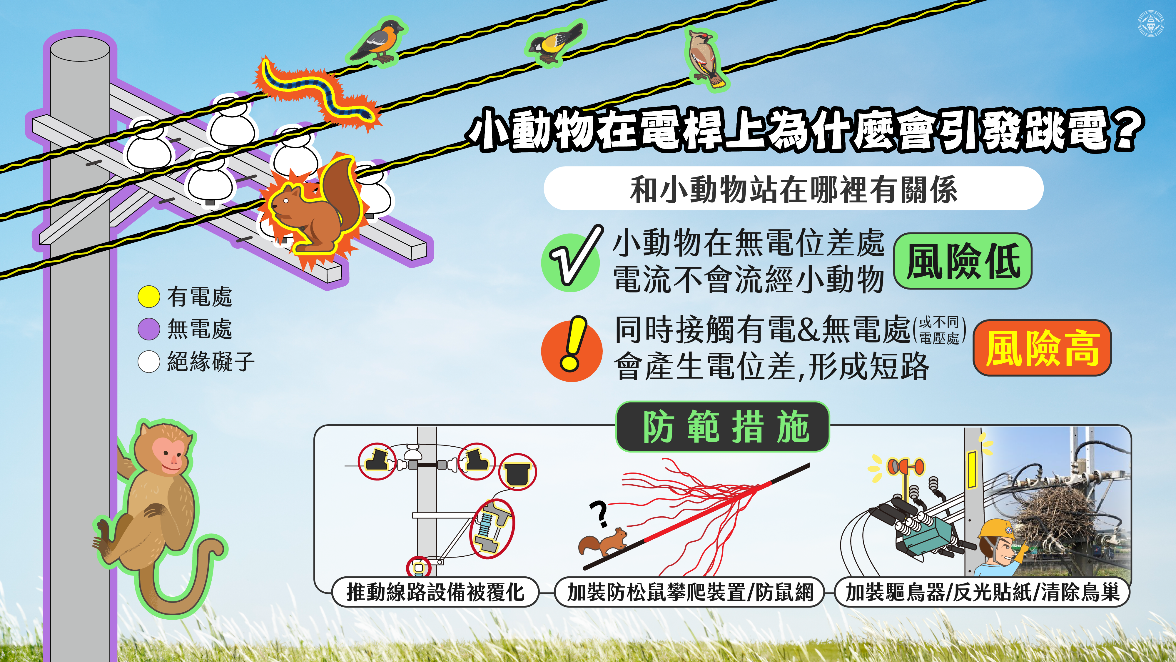 小動物在電桿上為什麼會引發跳電