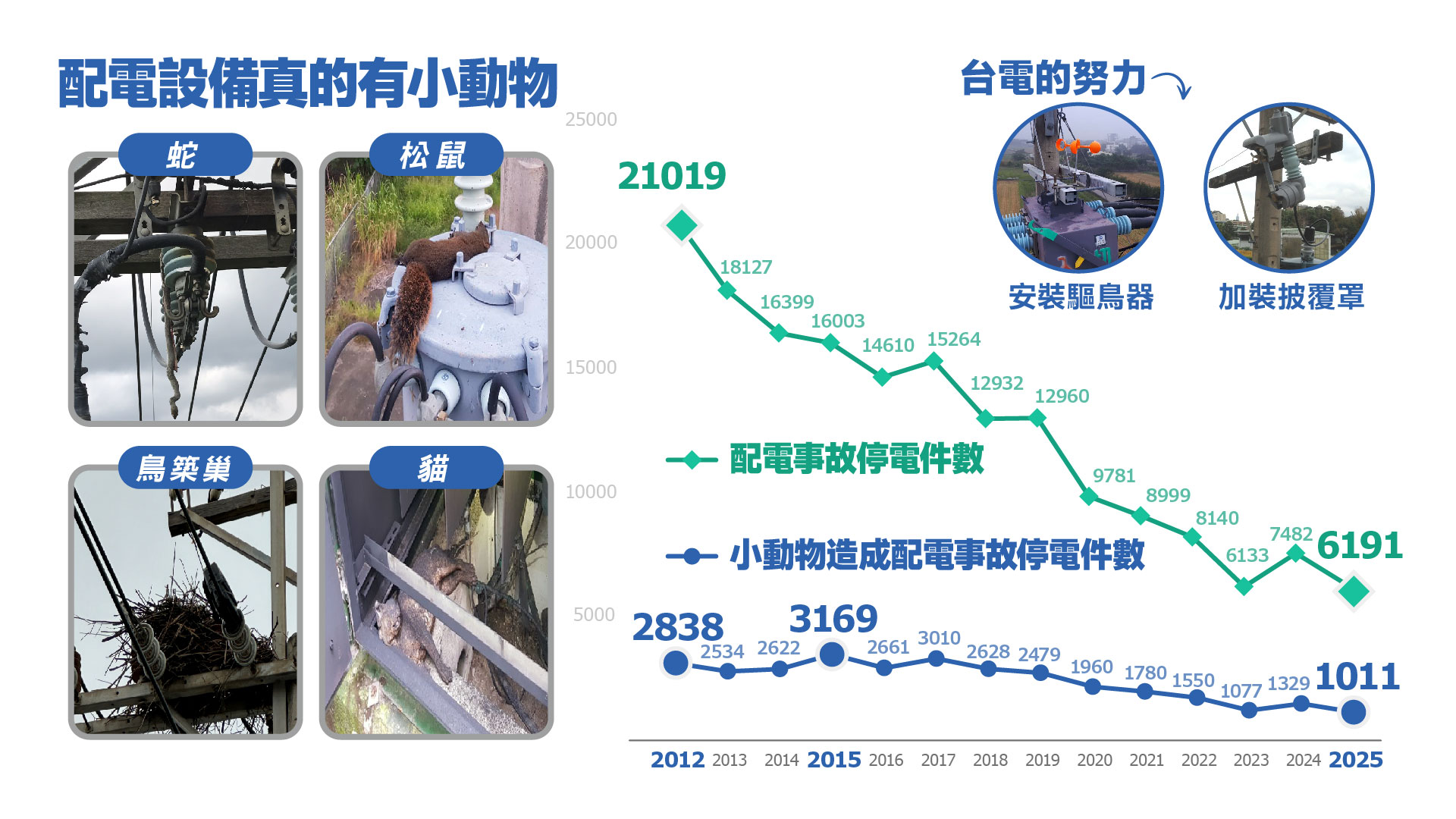 配電設備真的有小動物
