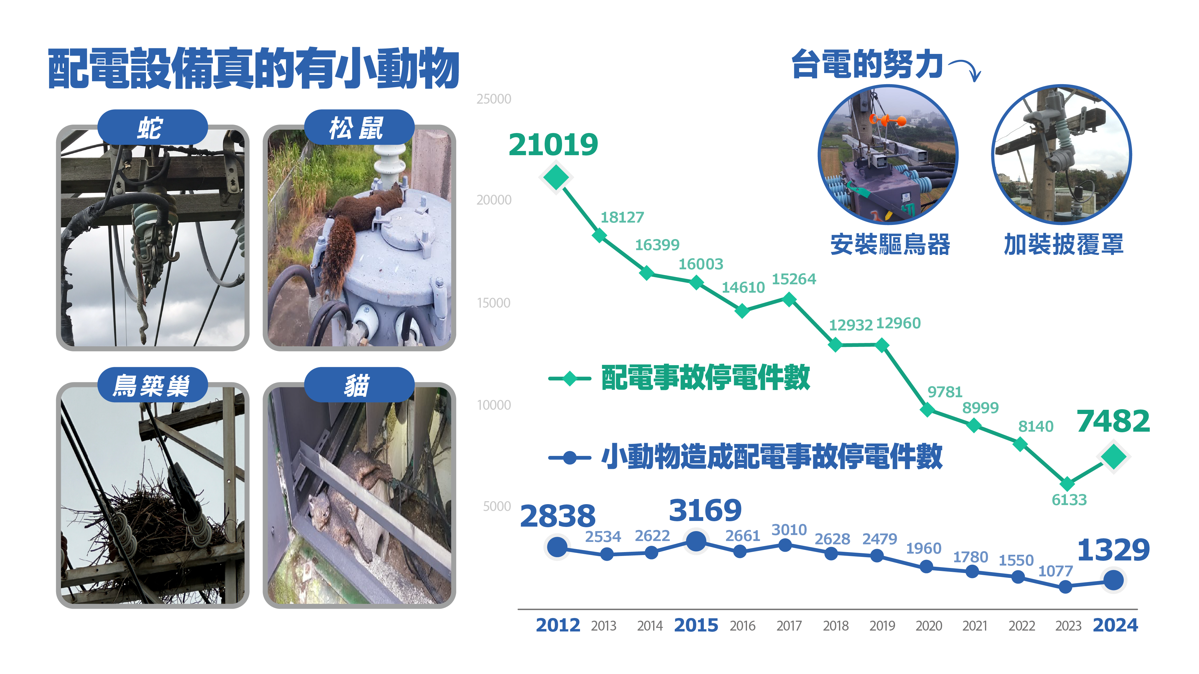 配電設備真的有小動物