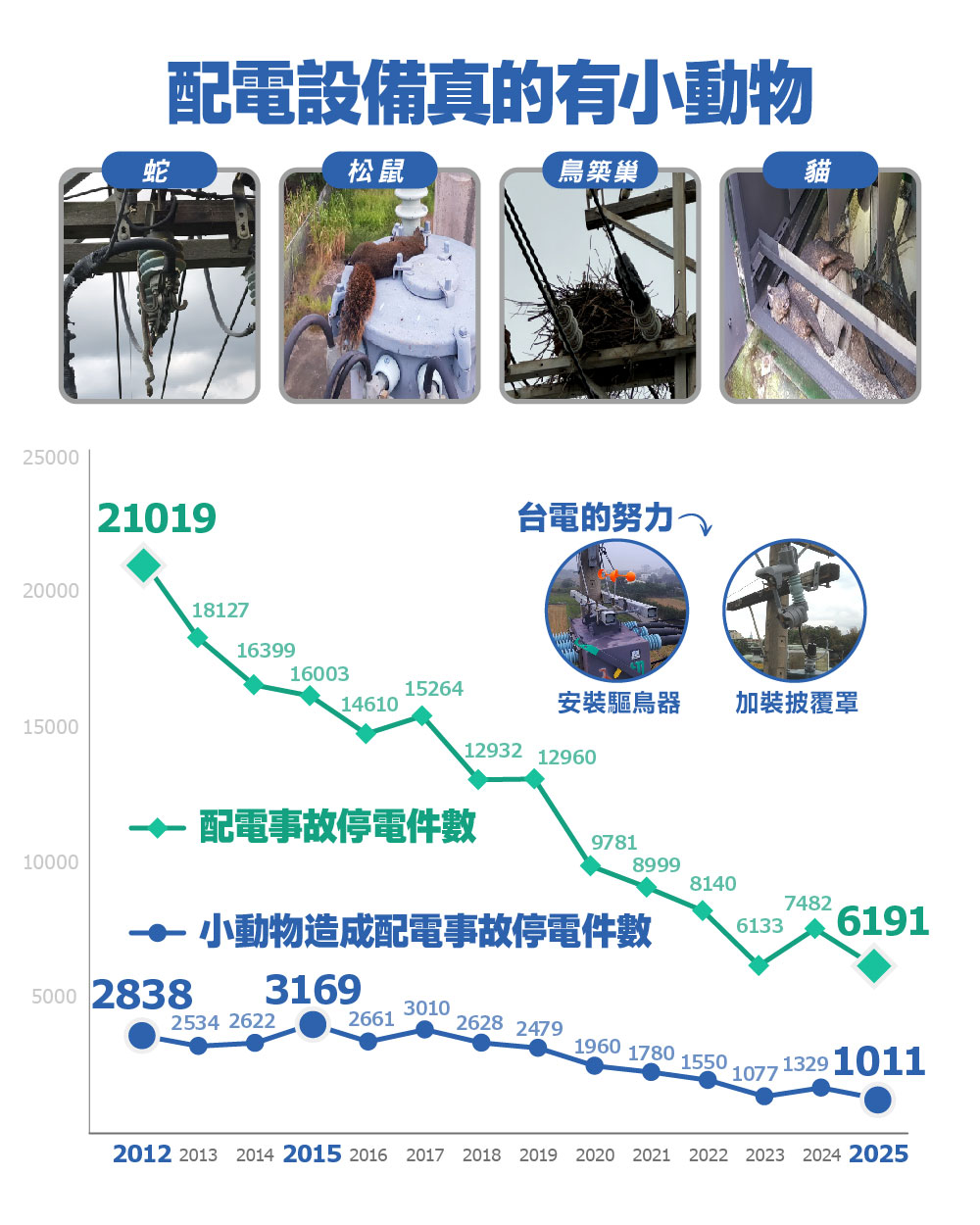 配電設備真的有小動物